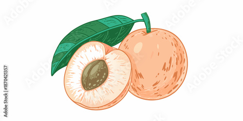 A vibrant illustration of a whole and halved apricot with a single leaf