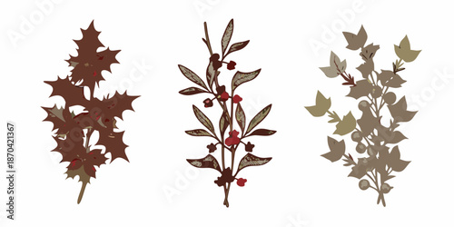 Three botanical illustrations of holly berries and ivy branches in muted tones