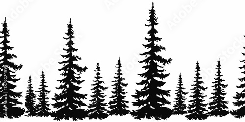 Black silhouette of a dense forest with varied coniferous trees