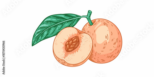 A vibrant illustration of a peach with a sliced half and green leaf