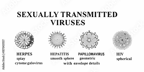 Illustrative depiction of sexually transmitted viruses and their unique structural forms