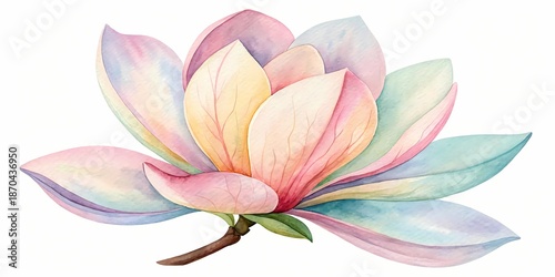 Pink lily and lotus flowers blooming beautifully in soft pink colors on an isolated background