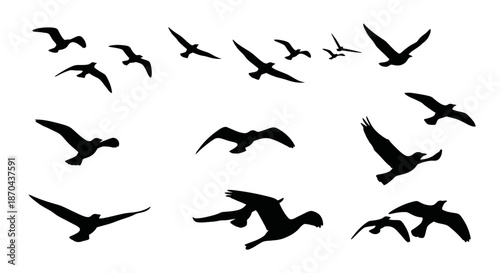 Dynamic flock of birds in silhouette against white backdrop creating a sense of movement and freedom