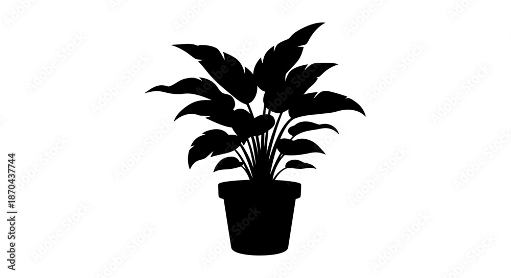 Fototapeta premium Silhouette of a houseplant in a pot against a white background creates a serene and modern