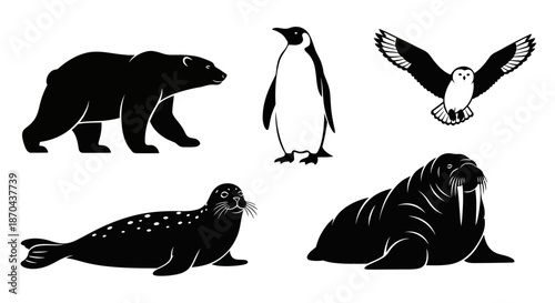 Illustrations of arctic animals including a polar bear penguin owl seal and walrus
