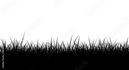 Silhouette of Lush Grass Against a Clean White Background for Graphic Design