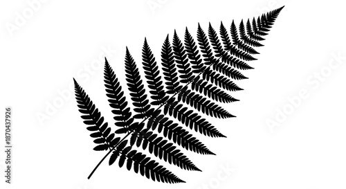 Cuadro en lienzo Elegant silhouette of a fern leaf against a clean white backdrop creates a strik