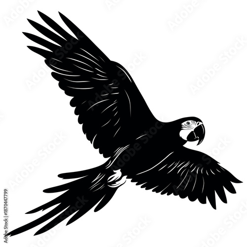 Flying Parrot Bird Silhouette Vector, Tropical Parrot in Flight with Spread Wings, Minimalist Black Avian Wildlife Illustration Isolated on White Background