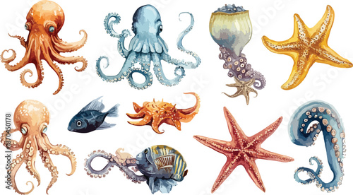 Ancient golden dragon and starfish illustration set featuring marine animals and sea shells in a traditional China travel design vector