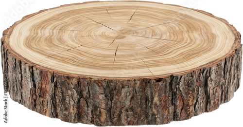 A textured cross section of a natural tree trunk reveals intricate growth rings and rough bark detail showcasing organic wood patterns tree trunk slice wood cross section transparent background