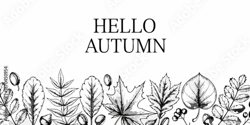 Hello autumn a delicate sketch of falling leaves and seasonal greetings