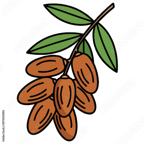 Ramadan Iftar Food Illustration with Dates
