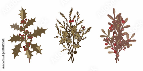 Illustration of three botanical branches with red berries and foliage