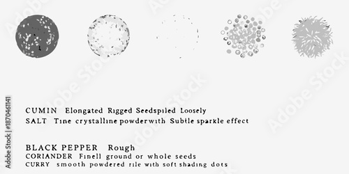 Visual comparison of cumin salt black pepper coriander and curry spices