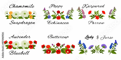 A collection of embroidered floral designs featuring various wildflowers and plants