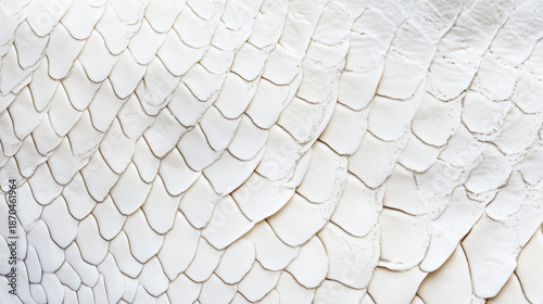 A white, rugged, scaly background image