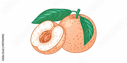 A vibrant illustration of a peach with a cut section revealing the pit