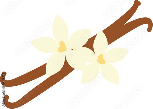 Flat Simple Vanilla Bean Pod and Flower Culinary Ingredient Illustration