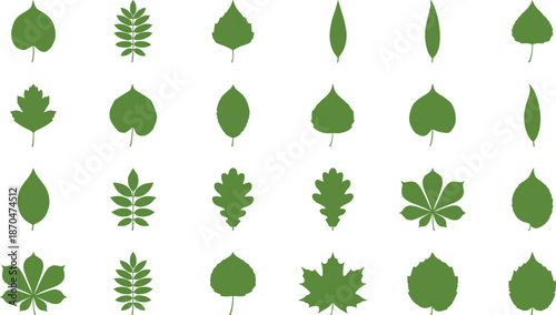 Green leaf silhouette collection, botanical foliage icons, plant species shapes, nature elements set, flat vector illustration for eco design projects