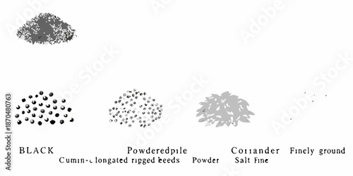 Visual comparison of black cumin seeds powdered pile coriander and finely ground spices