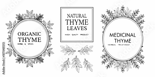 Decorative frames featuring botanical thyme illustrations and text labels