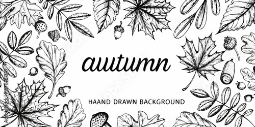 Detailed botanical illustration of autumn leaves and acorns in black and white