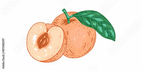A vibrant illustration of a whole apricot and its halved counterpart