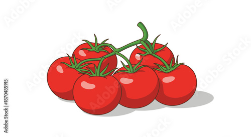 Vector illustration of fresh red tomatoes on the vine