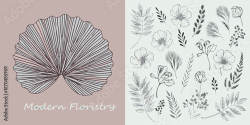 Botanical sketches and floral illustrations on a split pale pink background