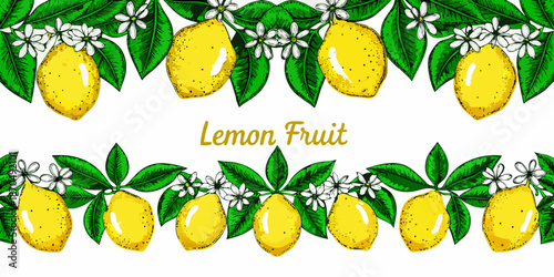 A decorative border featuring realistic lemon illustrations with flowers and leaves