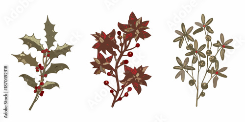 Illustrative depiction of holly poinsettia and mistletoe sprigs in muted tones