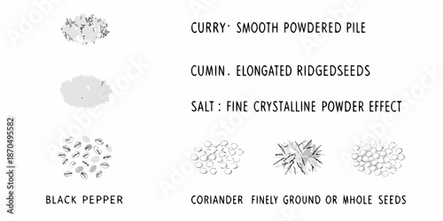 Illustrative comparison of various spice textures and forms labeled clearly