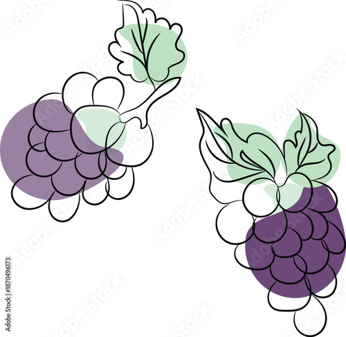 Would you like me to generate a similar descriptive string for a different type of fruit?