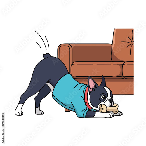 A dog in a sweater chewing a bone