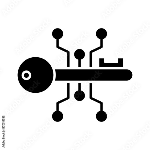 Encryption Key icon