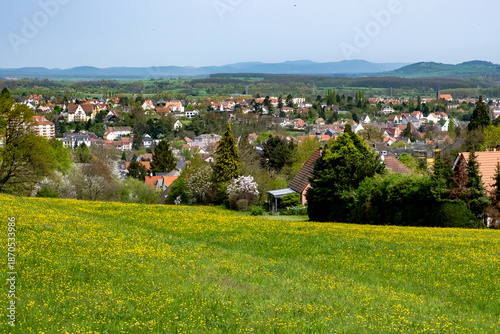 Lotissement de la ville de Saverne avec une prairie fleurie en avant plan