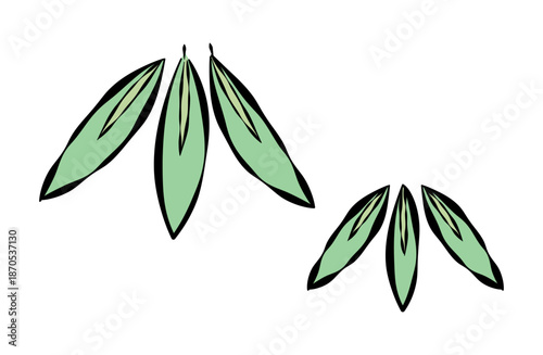 竹（笹の葉）のイラスト(線あり)