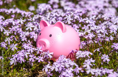 Piggy Bank on the background of blooming purple flowers
