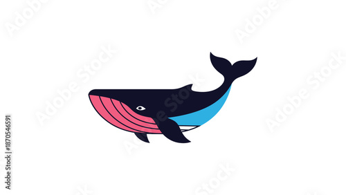 Cartoon whale illustration with pink belly and blue accents, isolated on white background.
