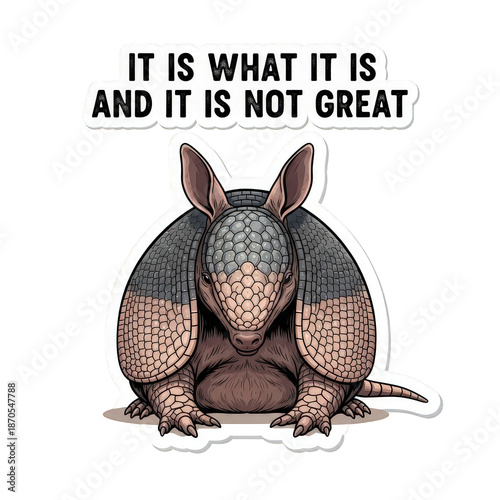 An armadillo sitting on the ground with a humorous quote above it, conveying a satirical message about its appearance