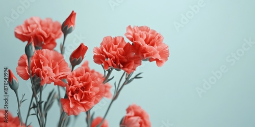 A bouquet of red carnations. The flowers are in a vase. The vase is on a table