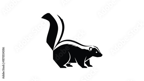 Striking black and white skunk illustration on a clean white background.