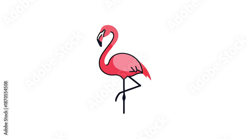 Elegant pink flamingo standing gracefully on one leg against a white background.