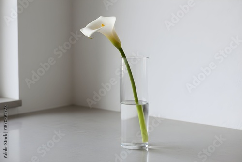 A single white calla lily stands in a clear glass vase on a table by a window.