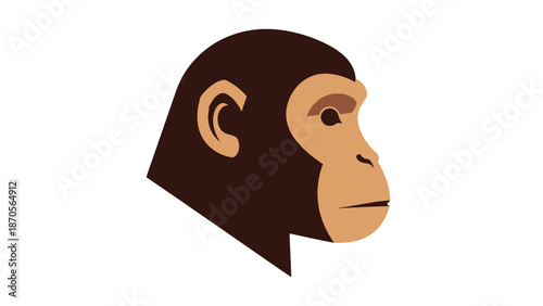 Chimpanzee portrait showcasing detailed features of the primates face and fur, isolated.