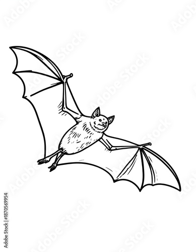 Line drawing of a bat with outstretched wings, flying against a white background
