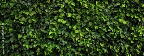 The leafy green living wall creating a lush natural backdrop for design