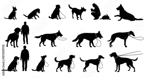 Dog Training Vector Set – Silhouettes of Dogs with Handlers, Pet Obedience, Walking, Sitting, and Leash Training Illustration Collection