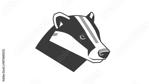 Detailed illustration of a badger head, showcasing its distinctive markings and features.