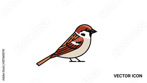 Detailed illustration of a small brown sparrow bird with black beak and white chest.